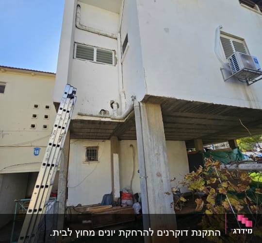 סולם ליד קיר עם צינורות ומזגנים